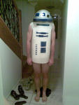 sexy-r2d2-11536-1270738686-145