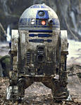 R2 Series