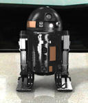 r2-a1__2a.jpg