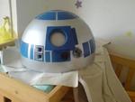 r2 dome