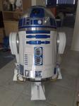 My R21