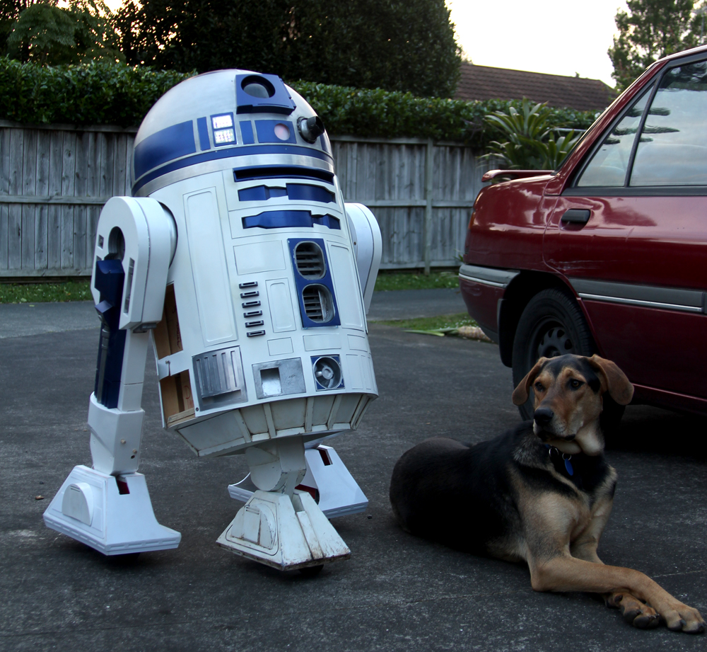 r2anddog